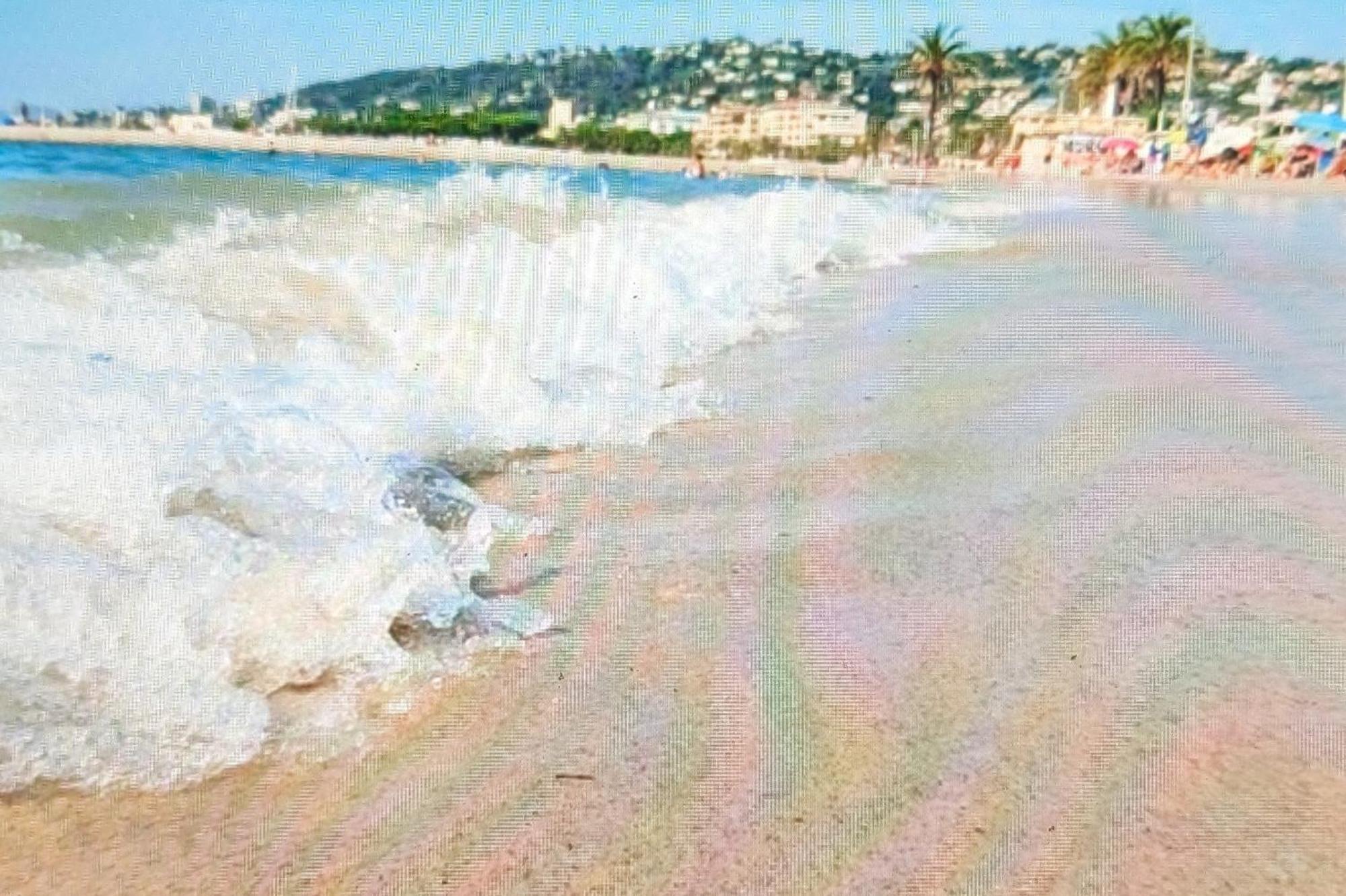 Residence De Vacances Avec Piscine & Transat, A 2 Minutes Des Plages - Bat N2 Vallauris Buitenkant foto